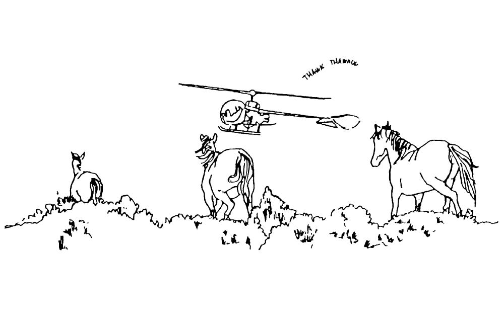 Desenho de Helicopteros para colorir e imprimir: número 1