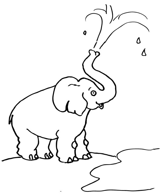 Desenho de Holi para colorir e imprimir: número 11