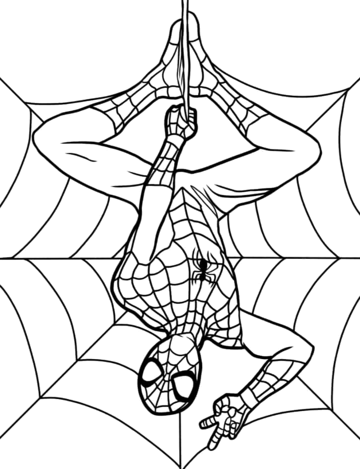 Desenho de Homem Aranha para colorir e imprimir: número 18