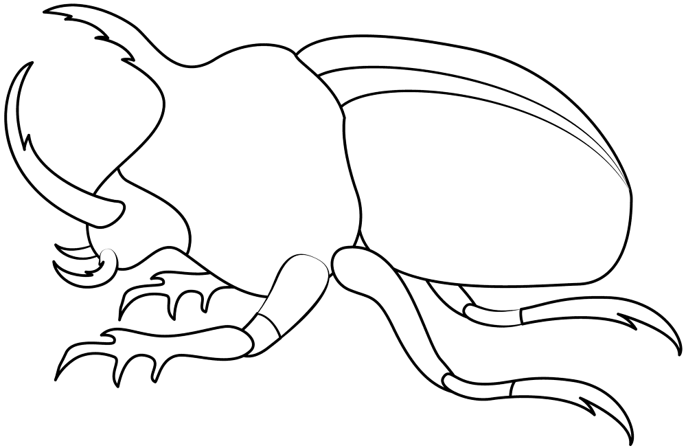 Desenho de Insetos para colorir e imprimir: número 2