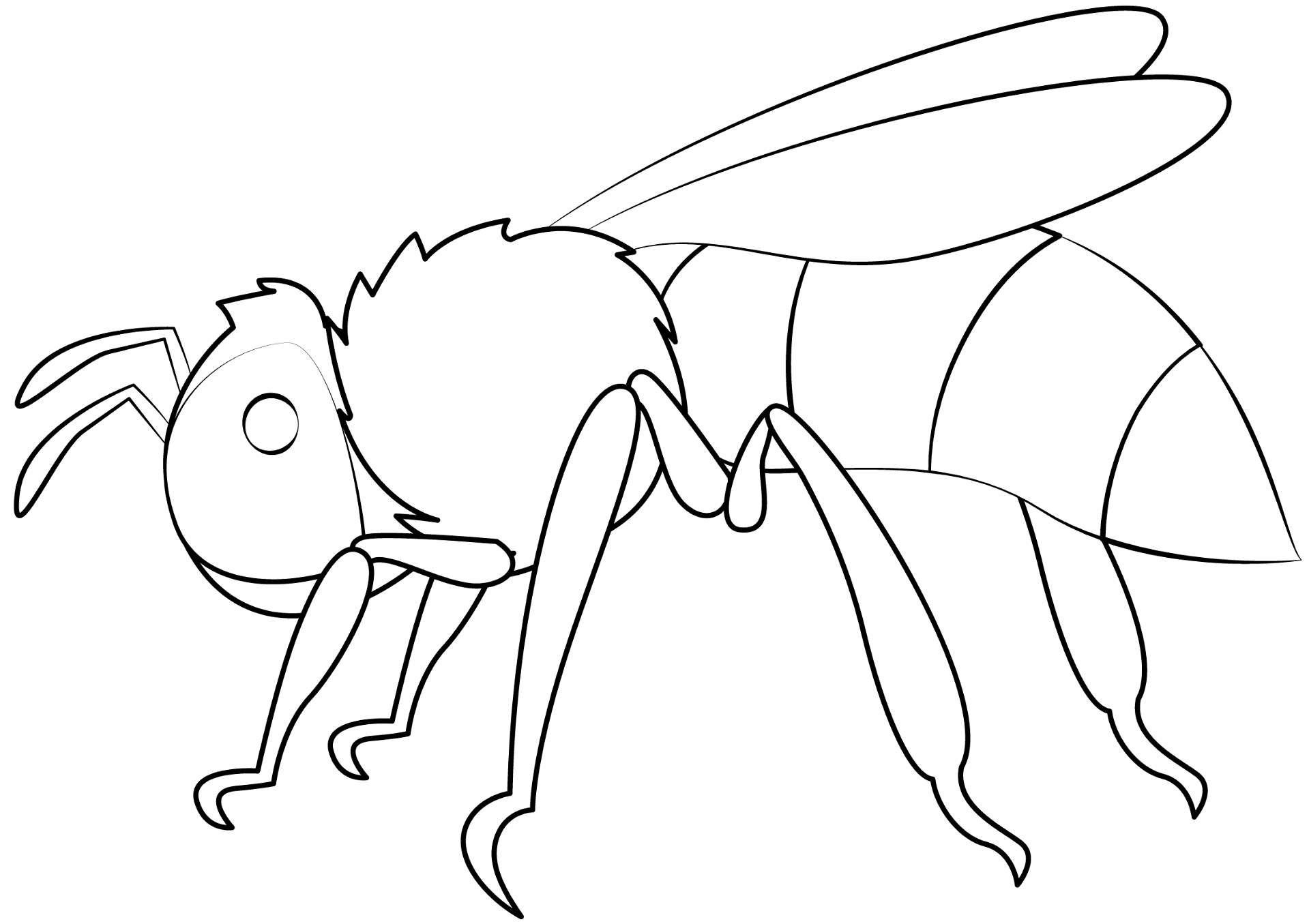 Desenho de Insetos para colorir e imprimir: número 9