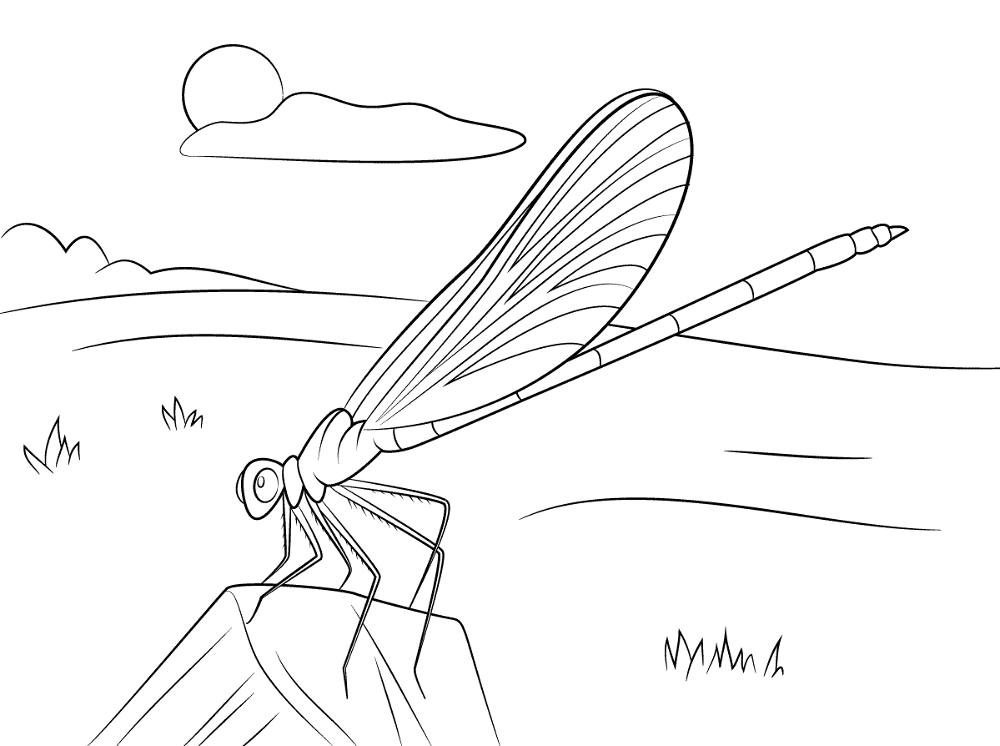 Desenho de Insetos para colorir e imprimir: número 11