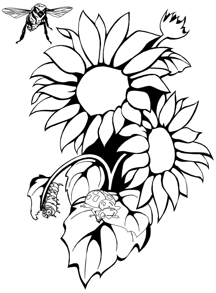 Desenho de Insetos para colorir e imprimir: número 14