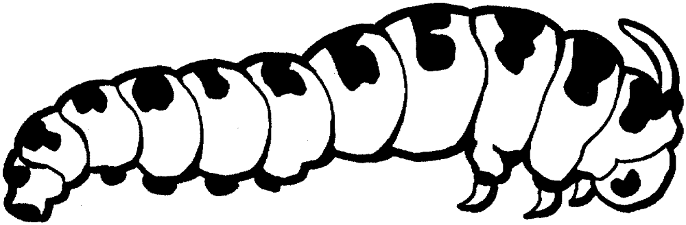 Desenho de Insetos para colorir e imprimir: número 21