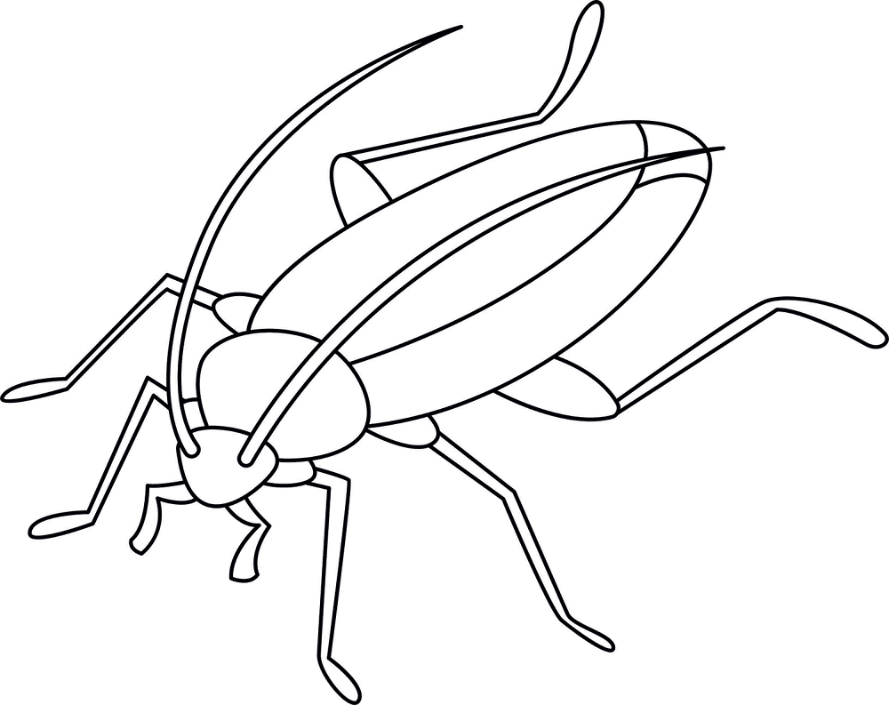 Desenho de Insetos para colorir e imprimir: número 26