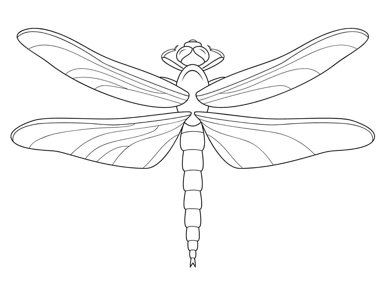 Desenho de Insetos para colorir e imprimir: número 29
