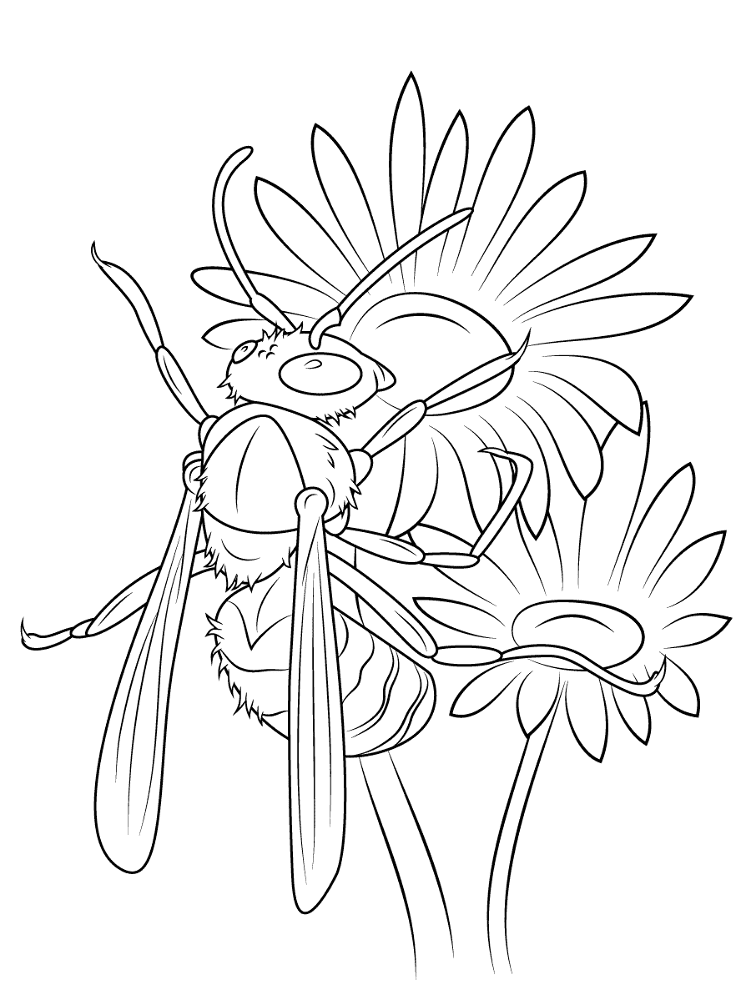 Desenho de Insetos para colorir e imprimir: número 40