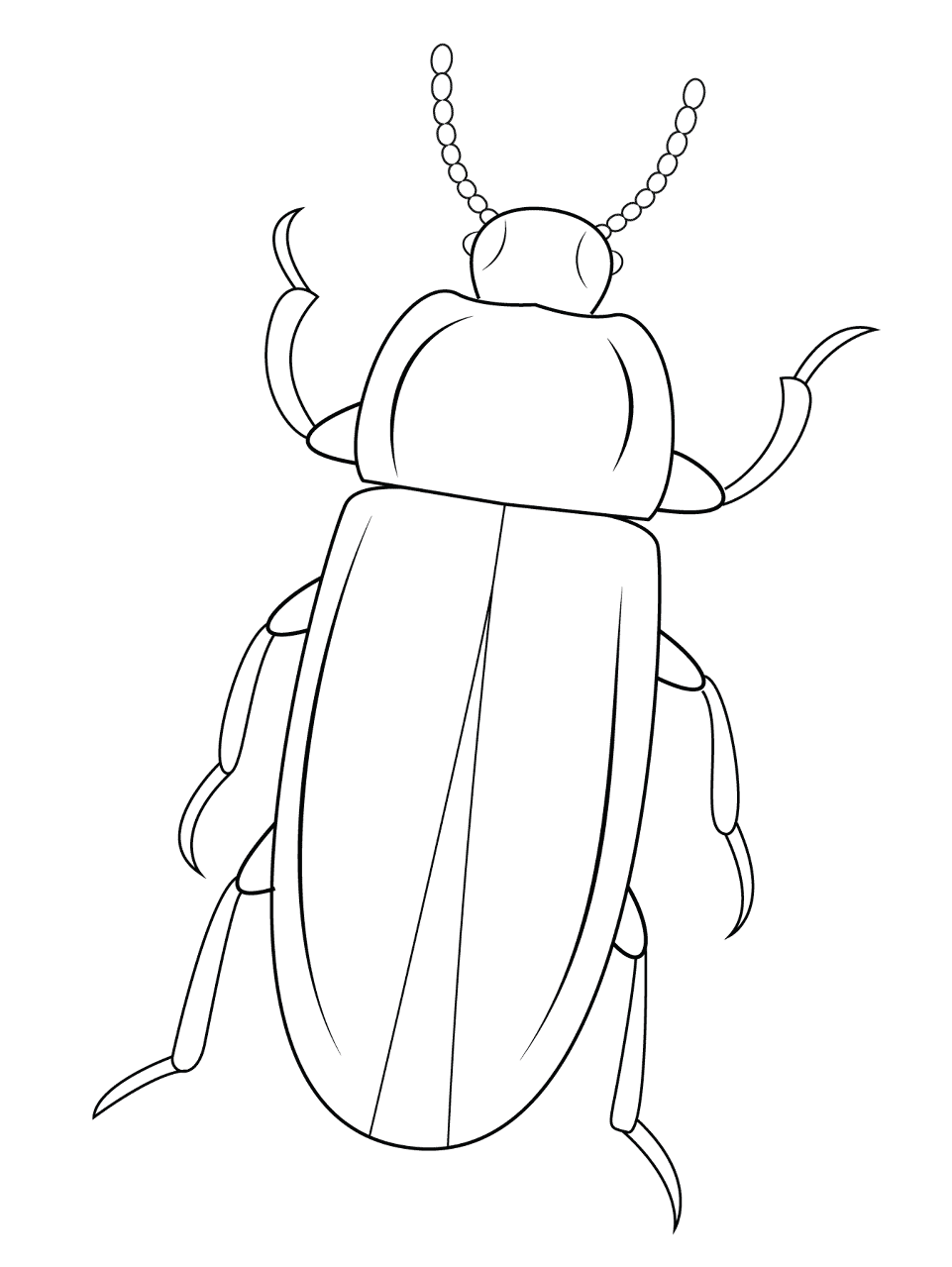 Desenho de Insetos para colorir