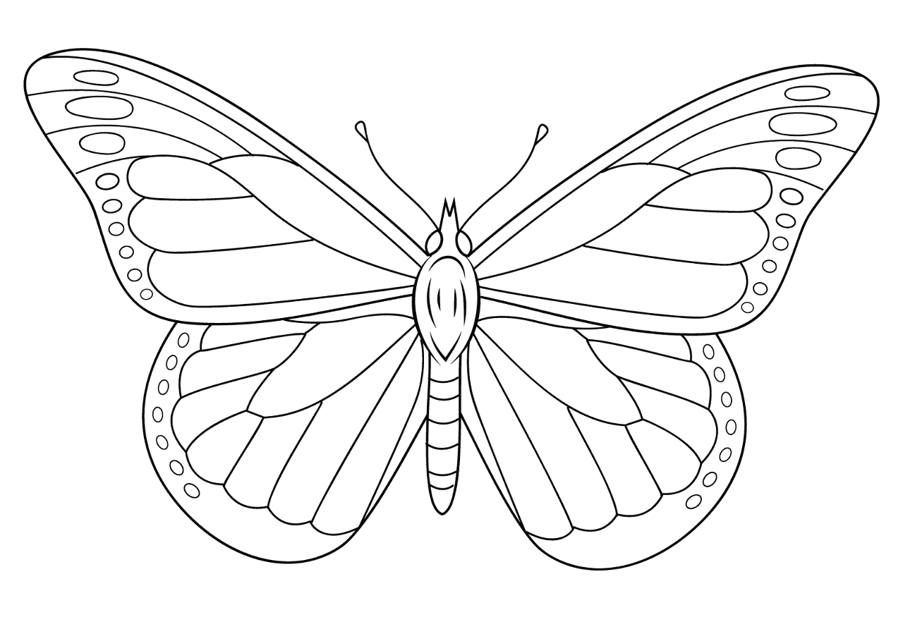 Desenho de Insetos para colorir