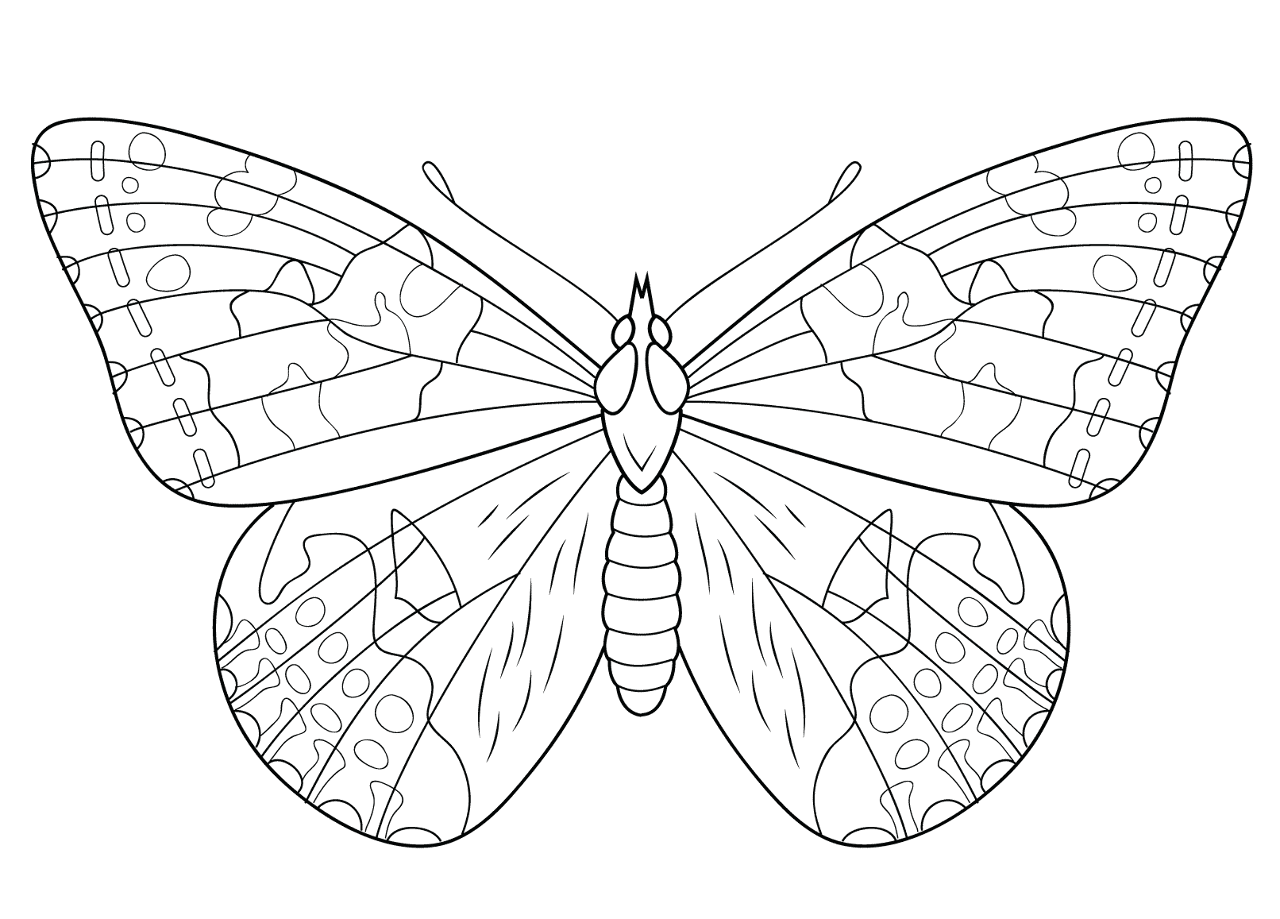 Desenho de Insetos para colorir