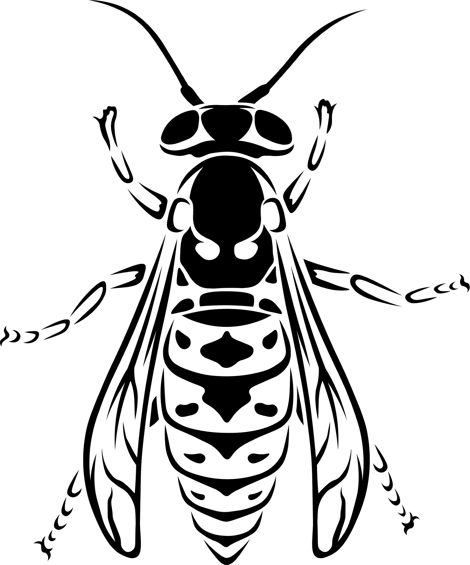 Desenho de Insetos para colorir