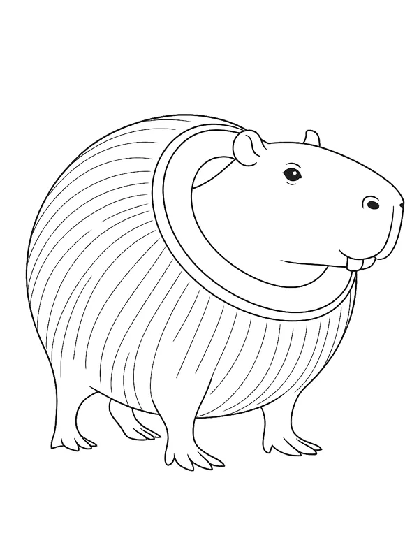 Desenho de Italian Brainrot para colorir e imprimir: número 23
