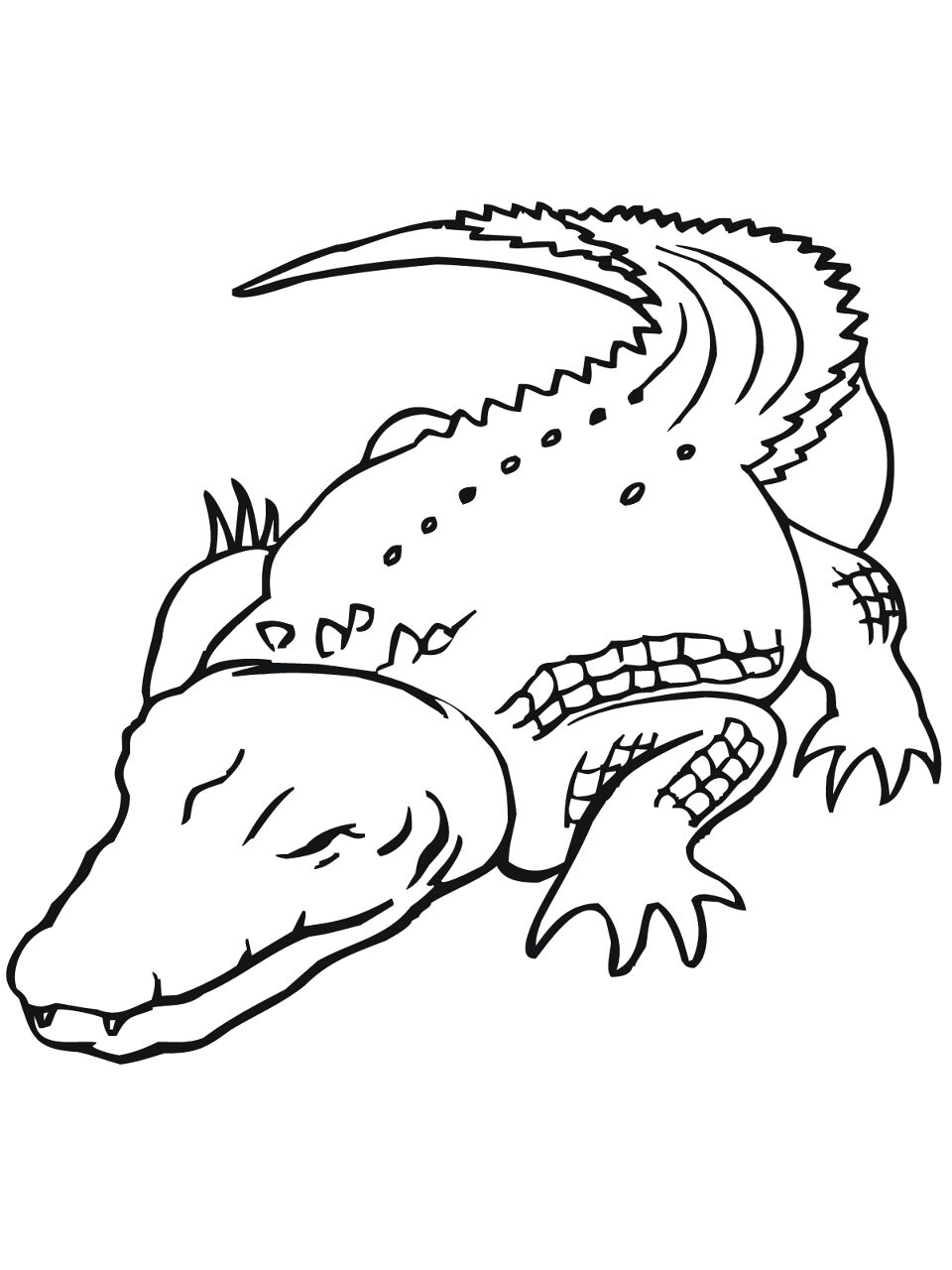 Desenho de Jacare para colorir e imprimir: número 5
