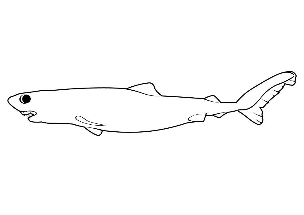 Desenho de Jacare para colorir e imprimir: número 9