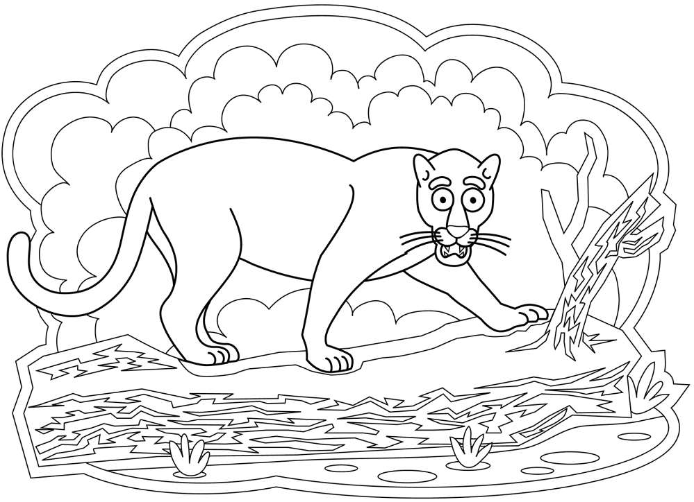 Desenho de Jaguar para colorir e imprimir: número 2