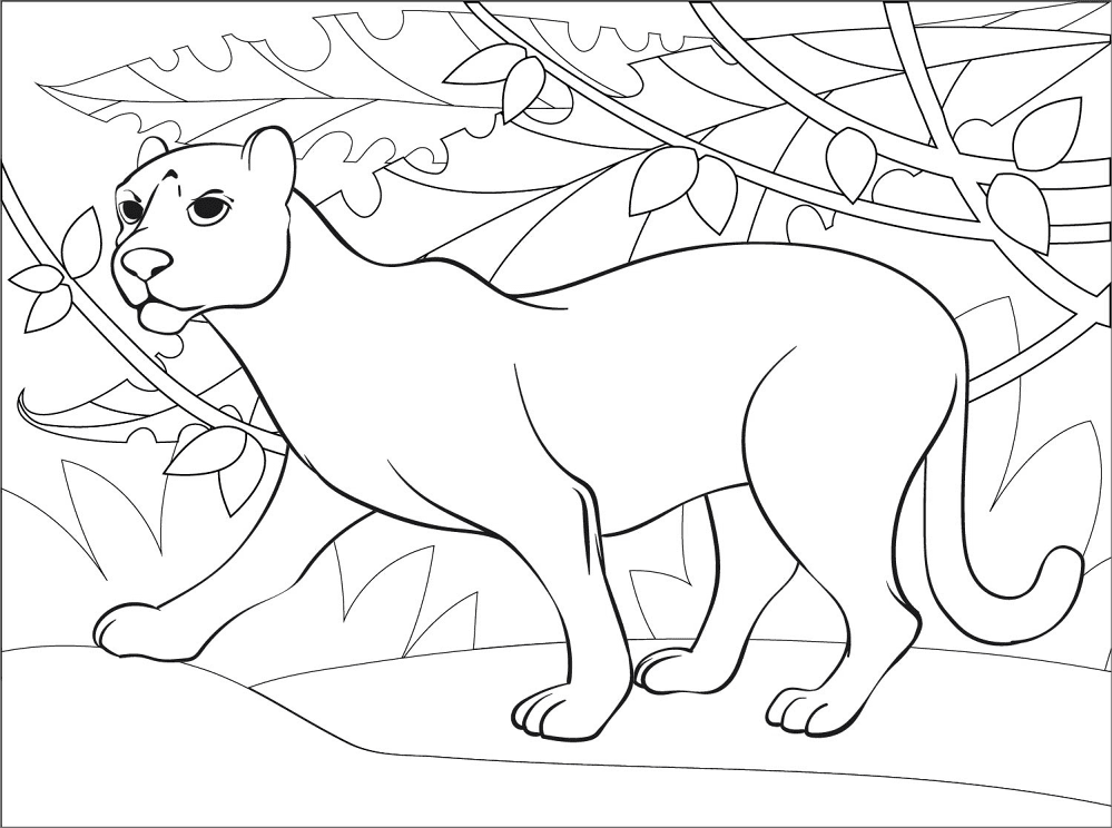 Desenho de Jaguar para colorir e imprimir: número 5