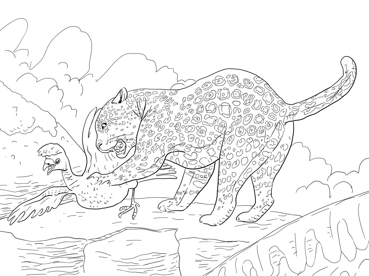 Desenho de Jaguar para colorir e imprimir: número 25