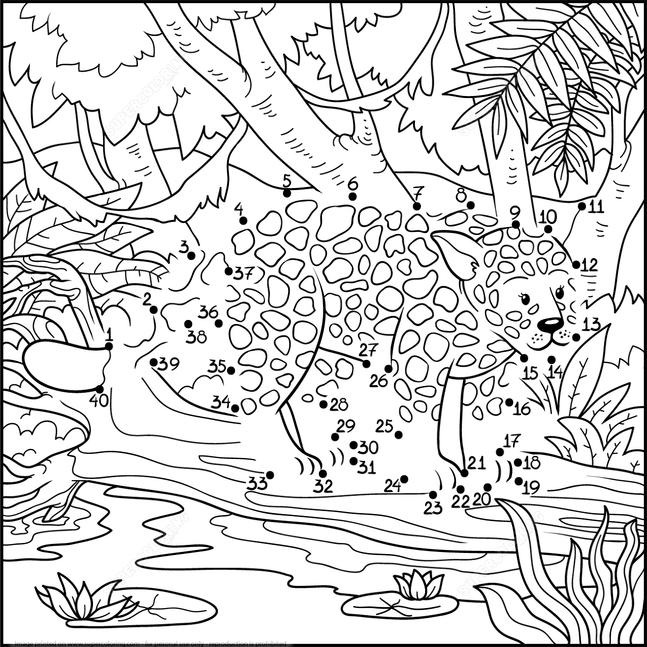 Desenho de Jaguar para colorir e imprimir: número 28