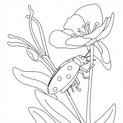 Desenho de Joaninha para colorir e imprimir: número 2