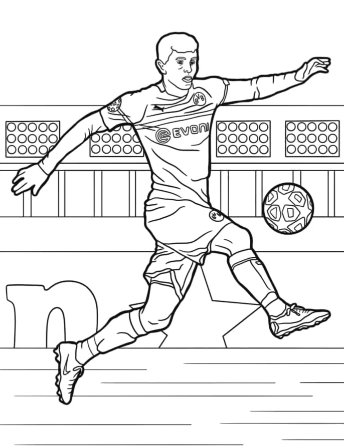 Desenho de Jogadores para colorir e imprimir: número 12
