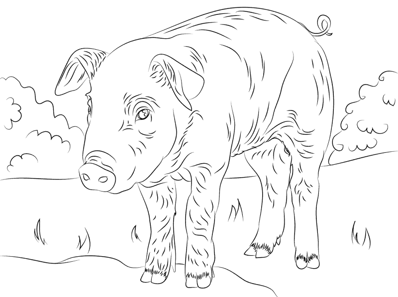 Desenho de Juventude para colorir e imprimir: número 30