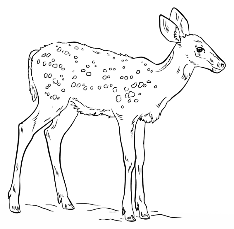 Desenho de Juventude para colorir e imprimir: número 34