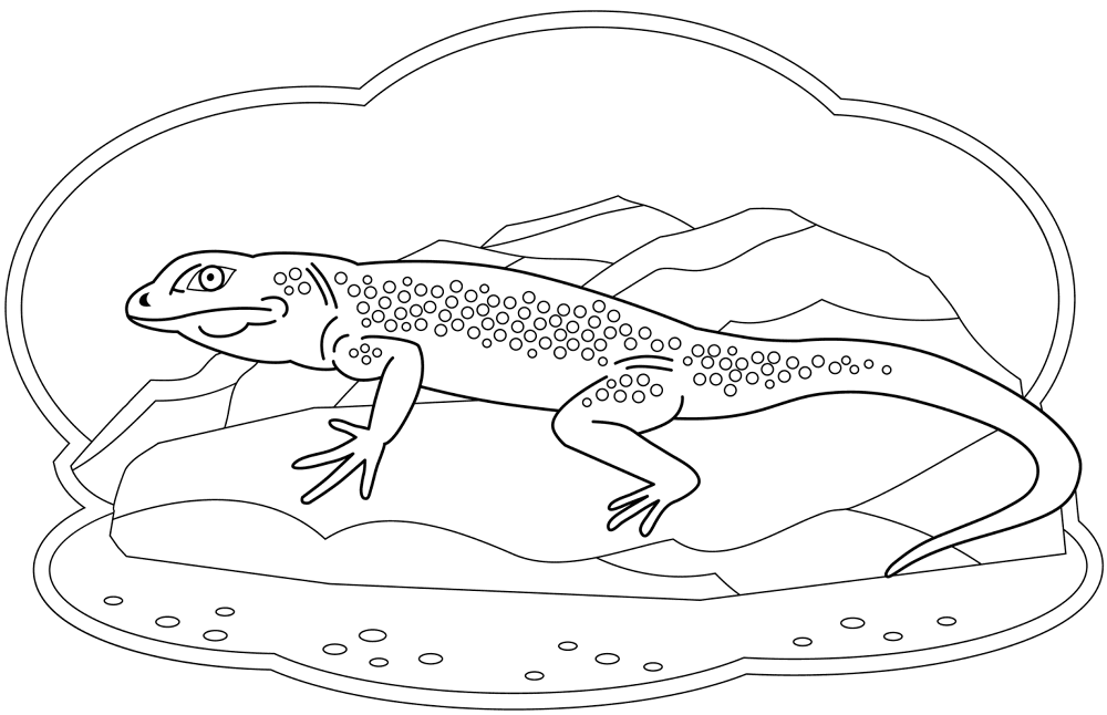 Desenho de Lagartos para colorir e imprimir: número 2