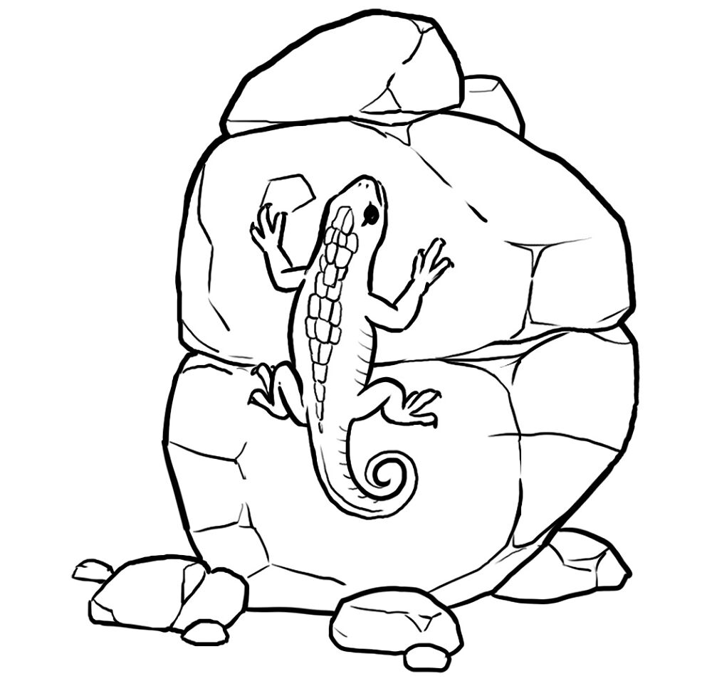 Desenho de Lagartos para colorir e imprimir: número 4