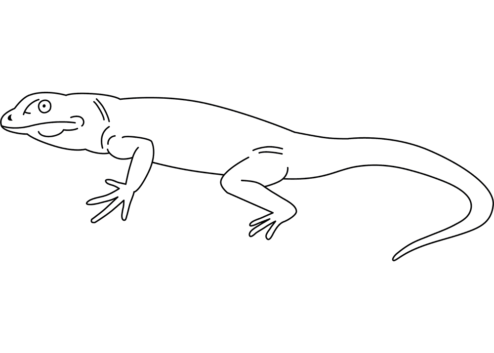 Desenho de Lagartos para colorir e imprimir: número 5
