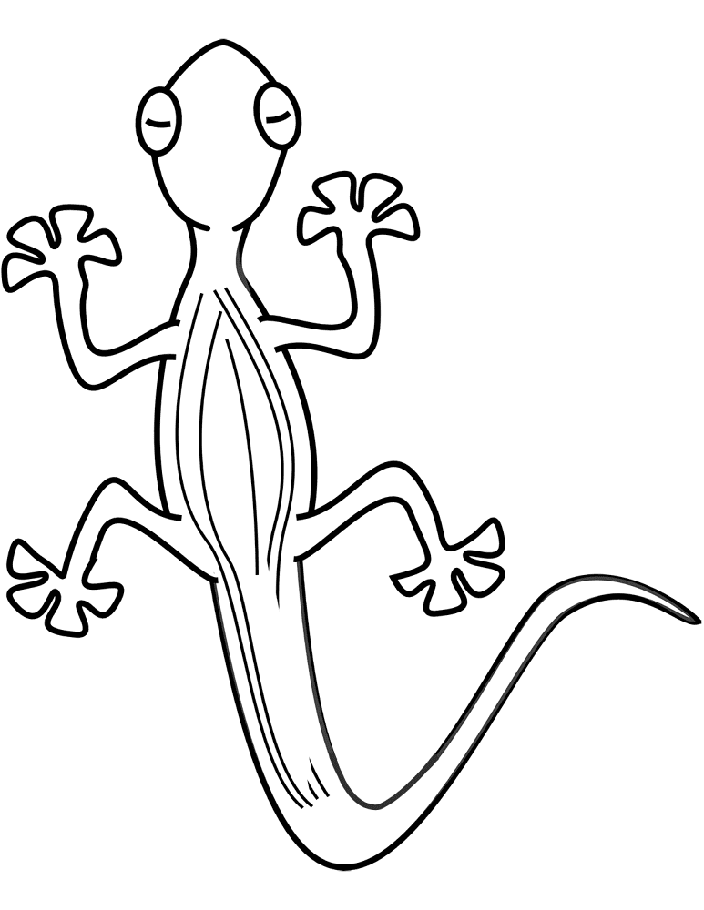 Desenho de Lagartos para colorir e imprimir: número 12