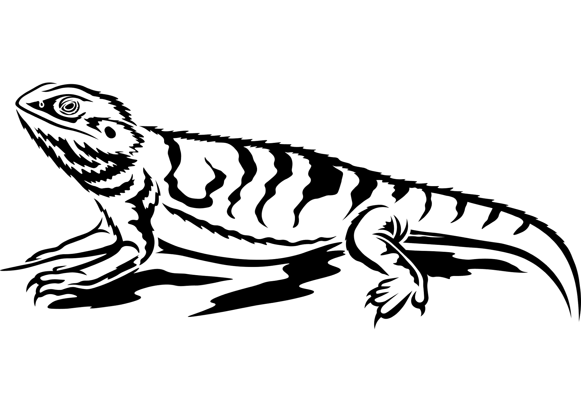Desenho de Lagartos para colorir e imprimir: número 16