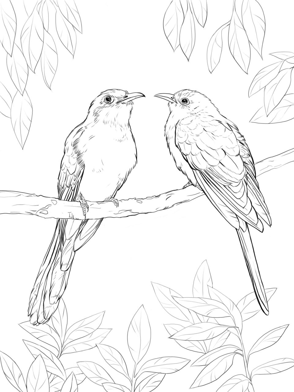 Desenho de Lagartos para colorir e imprimir: número 17