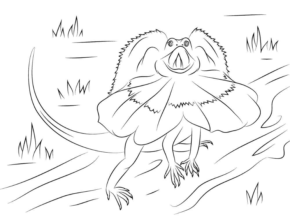 Desenho de Lagartos para colorir e imprimir: número 31