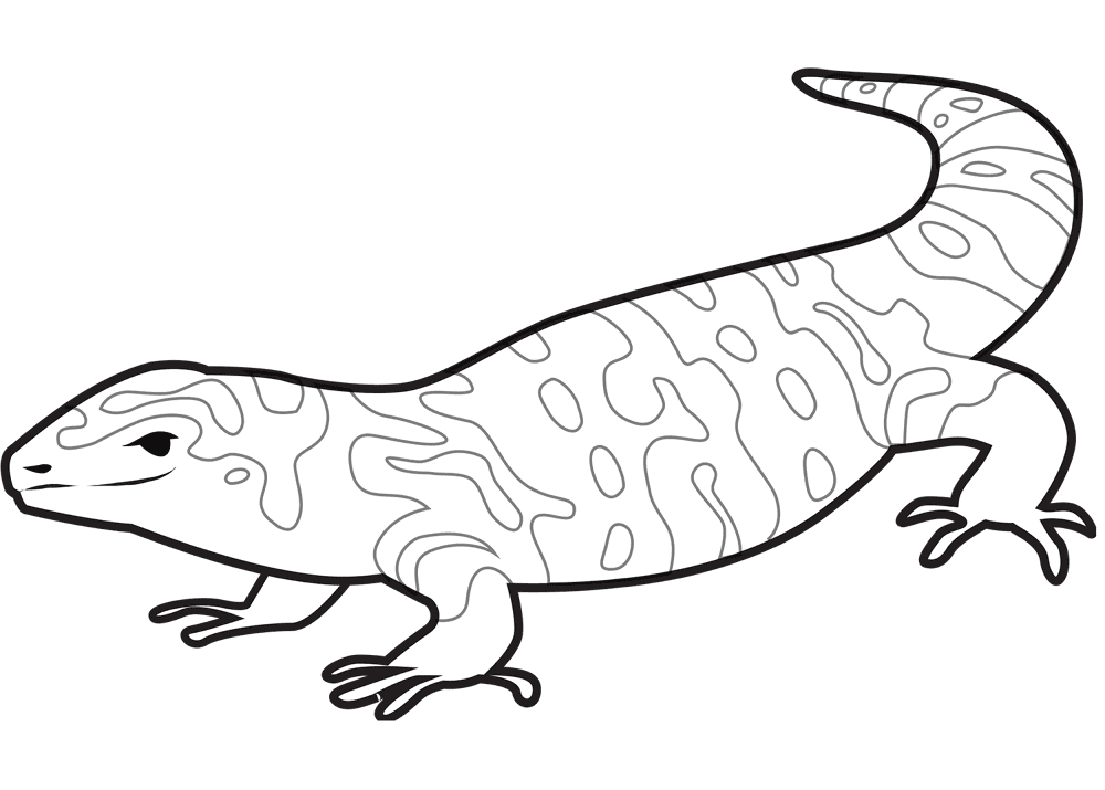 Desenho de Lagartos para colorir e imprimir: número 36