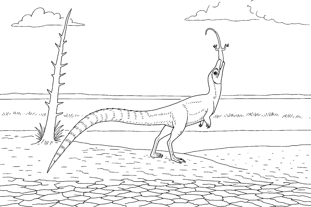 Desenho de Lagartos para colorir