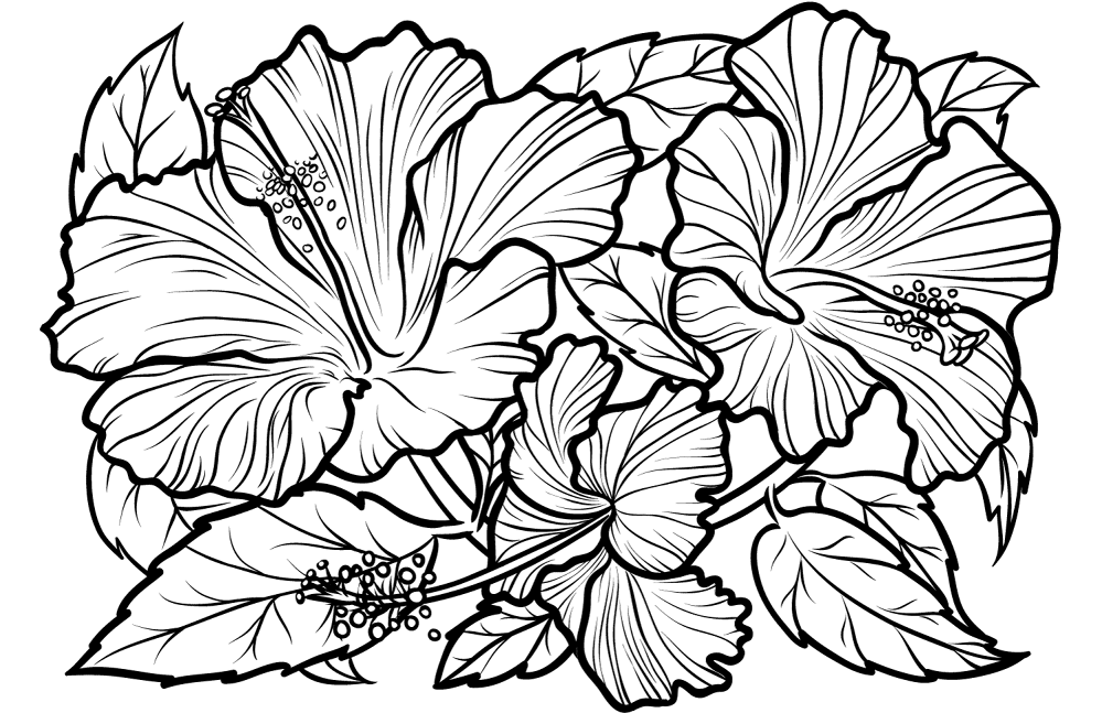 Desenho de Lei Havaiana para colorir e imprimir: número 5