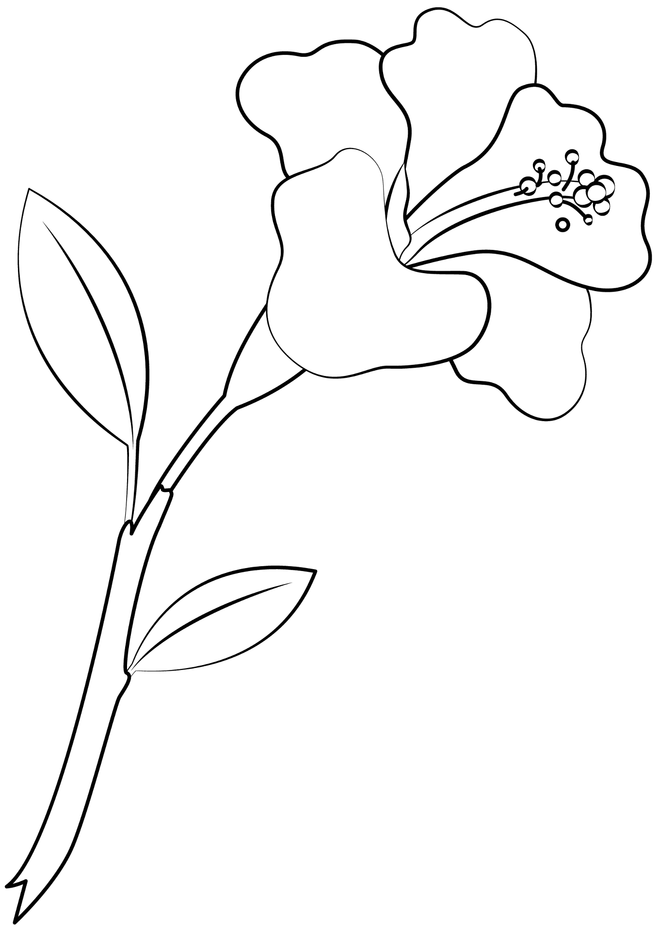 Desenho de Lei Havaiana para colorir e imprimir: número 12
