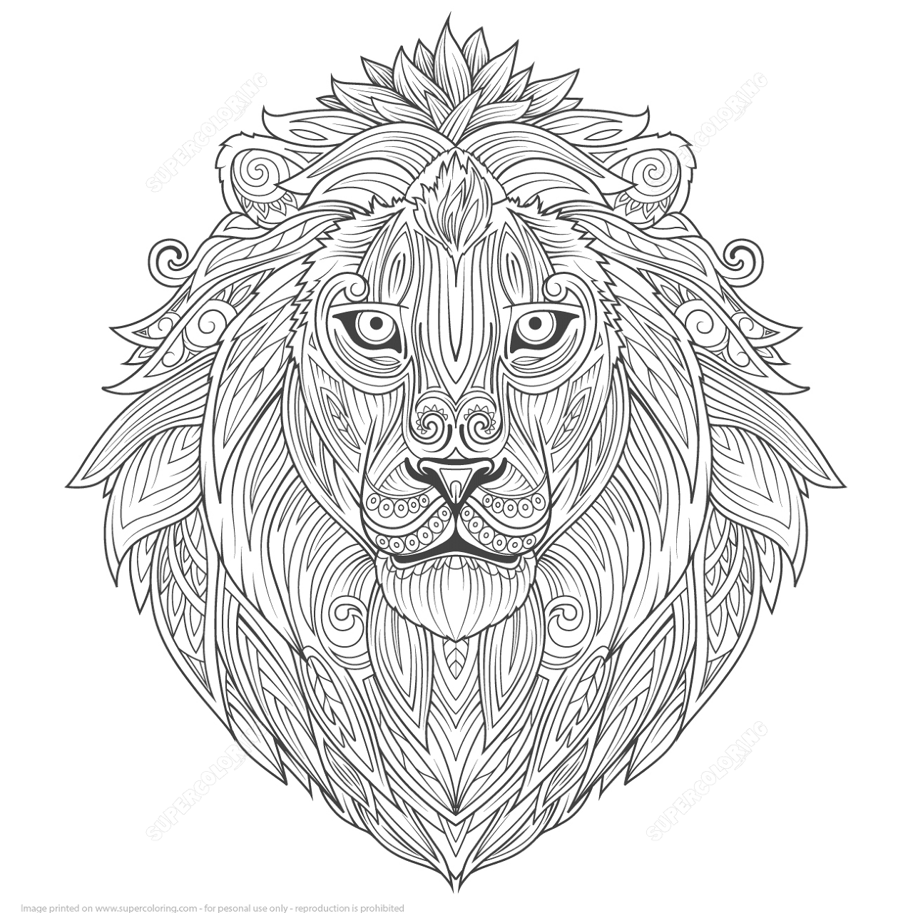Desenho de Leóes para colorir