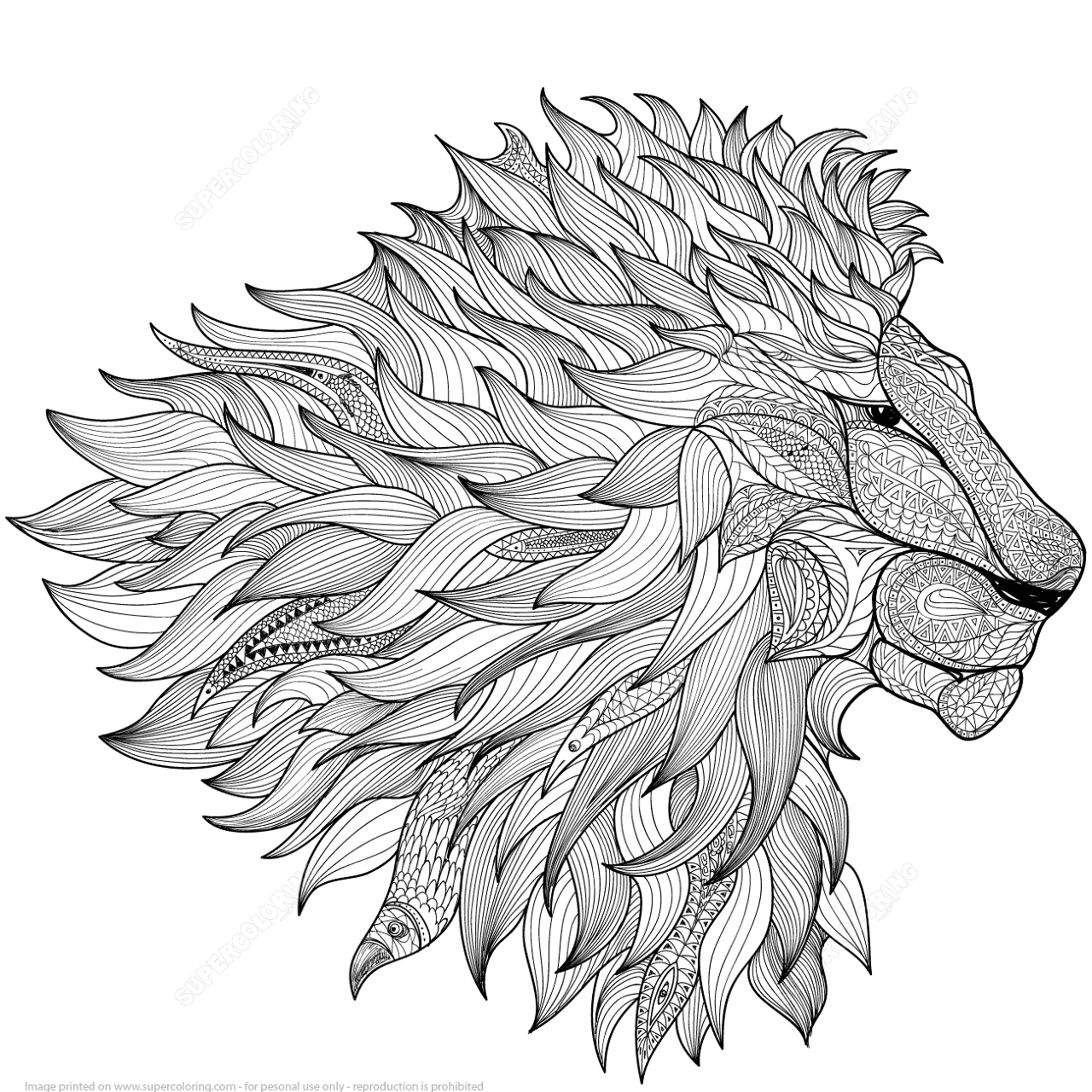 Desenho de Leóes para colorir
