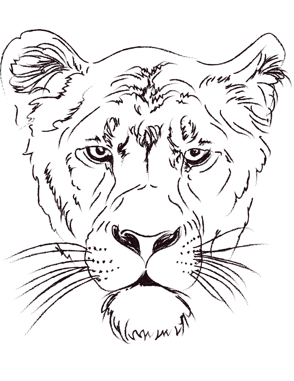 Desenho de Leóes para colorir