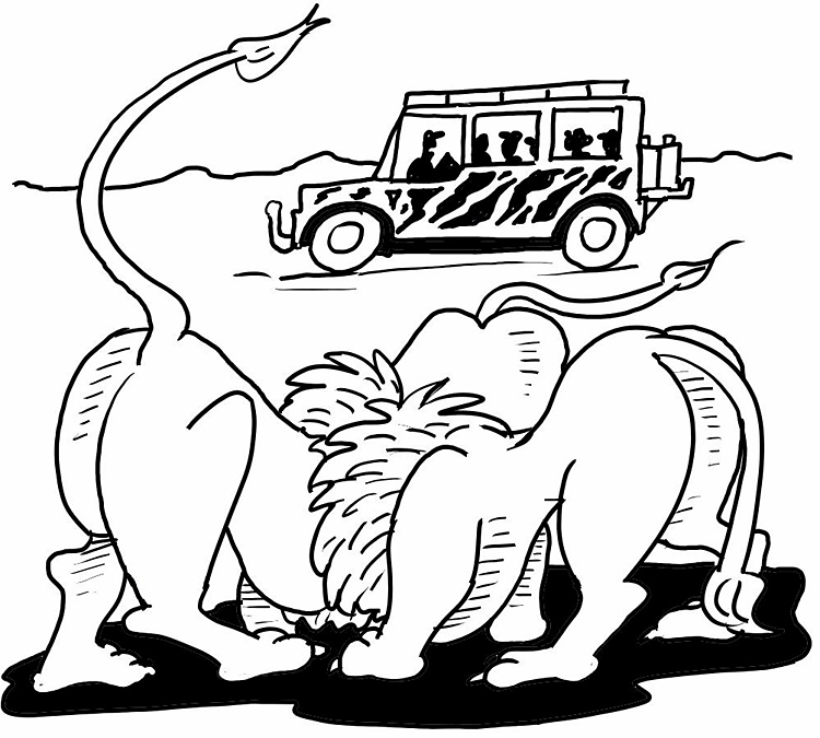 Desenho de Leóes para colorir