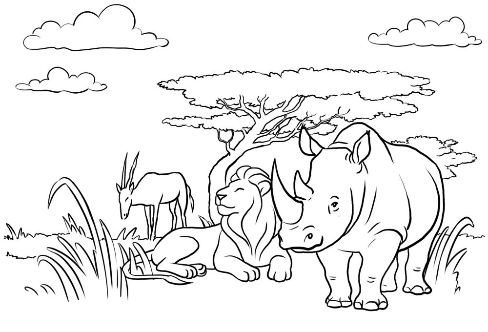 Desenho de Leóes para colorir
