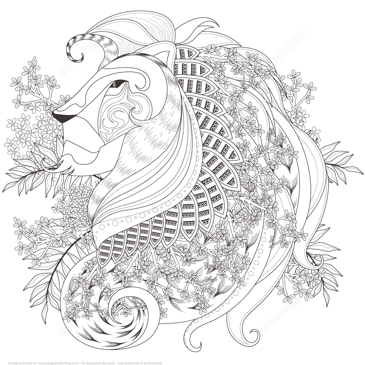 Desenho de Leóes para colorir