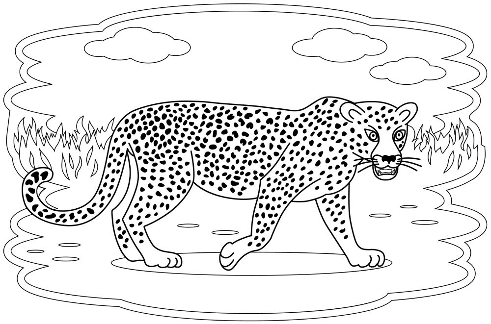 Desenho de Leopardos para colorir e imprimir: número 2
