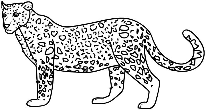 Desenho de Leopardos para colorir e imprimir: número 3