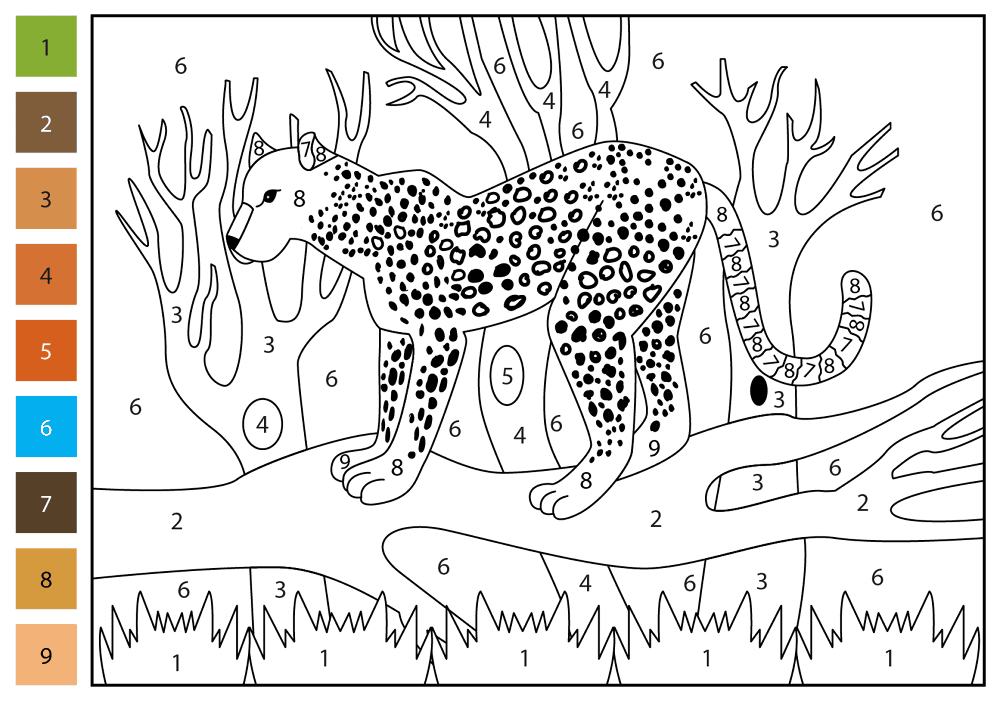 Desenho de Leopardos para colorir e imprimir: número 11