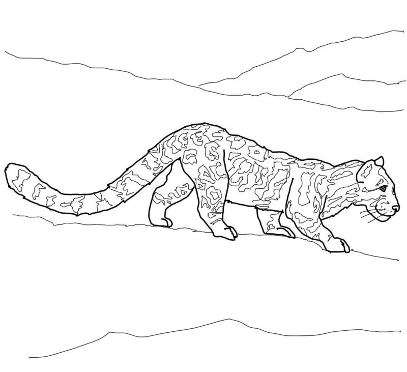 Desenho de Leopardos para colorir e imprimir: número 25