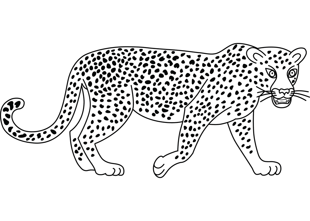 Desenho de Leopardos para colorir e imprimir: número 33