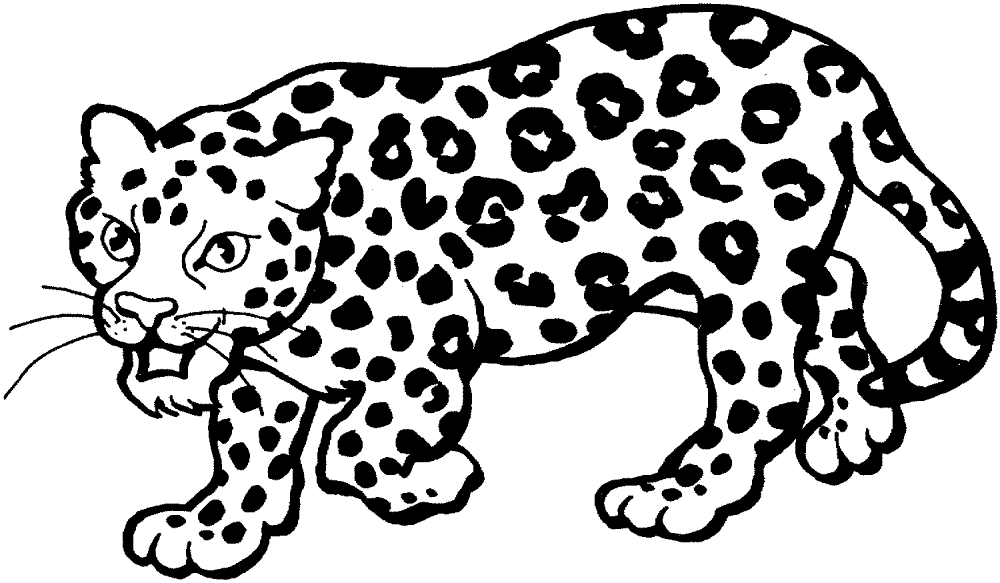 Desenho de Leopardos para colorir e imprimir: número 35