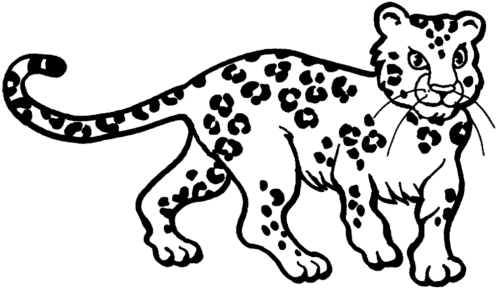 Desenho de Leopardos para colorir e imprimir: número 36